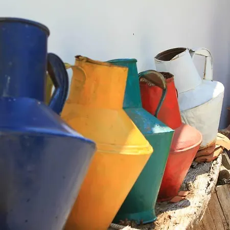 Solar Do Morgado Oliveira Macedo de Cavaleiros